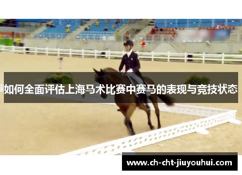 如何全面评估上海马术比赛中赛马的表现与竞技状态 如何全面评估上海马术比赛中赛马的表现与竞技状态